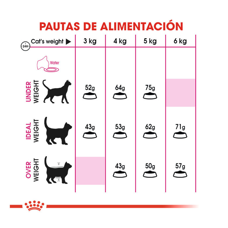 Royal Canin Adult Exigent Protein pienso para gatos, , large image number null